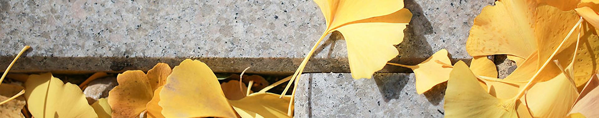 金年会(中国)官方网站入口