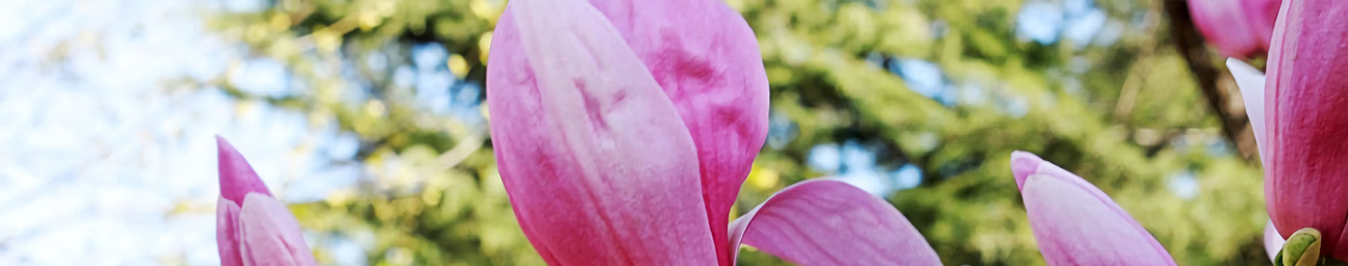 金年会(中国)官方网站入口